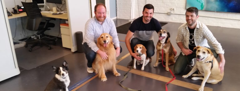 Our Dog Friendly Workplace Policy, why and how it works