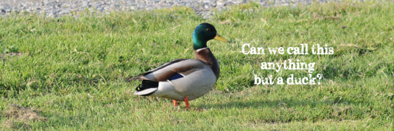 They aren't listening. I want the button to say, 