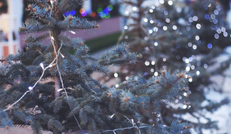 A Very Sweet Trakstar Team Outing this Holiday Season