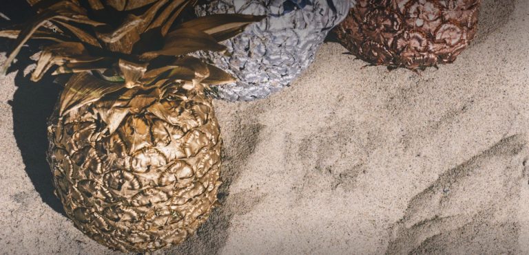 Award Winning Performance Includes 360 Degree Feedback